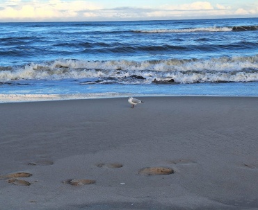 Bałtycka plaża w Jastarni zimą